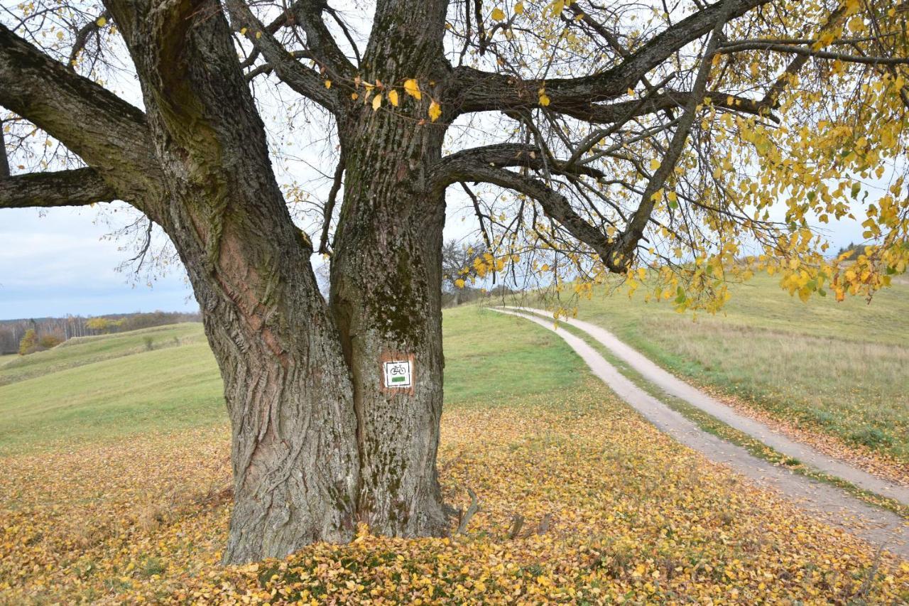 수바우키 Wigierski Park Narodowy 아파트 외부 사진