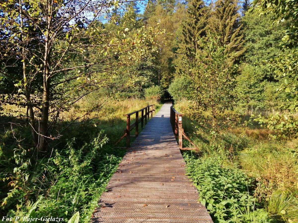 수바우키 Wigierski Park Narodowy 아파트 외부 사진